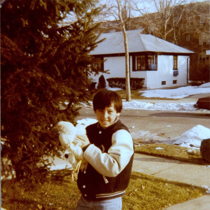 Just another chicken story. 