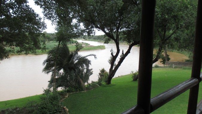 The view from our room. There are hippos out there!