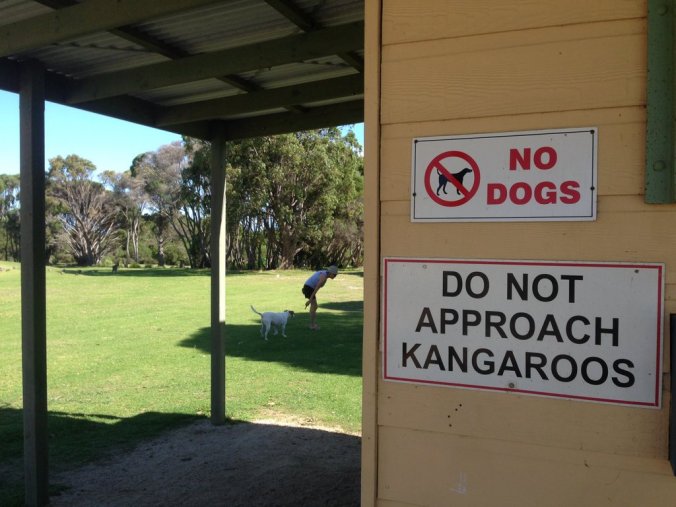 Here's something you don't usually see at the golf course. 