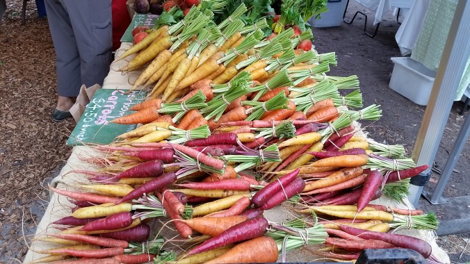 Comically beautiful carrots at the Abbotsford farmer's market. 