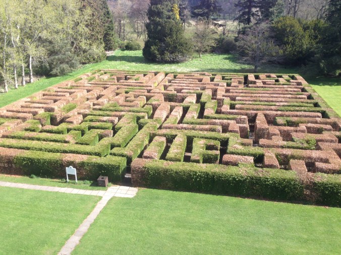 The view from our window. 